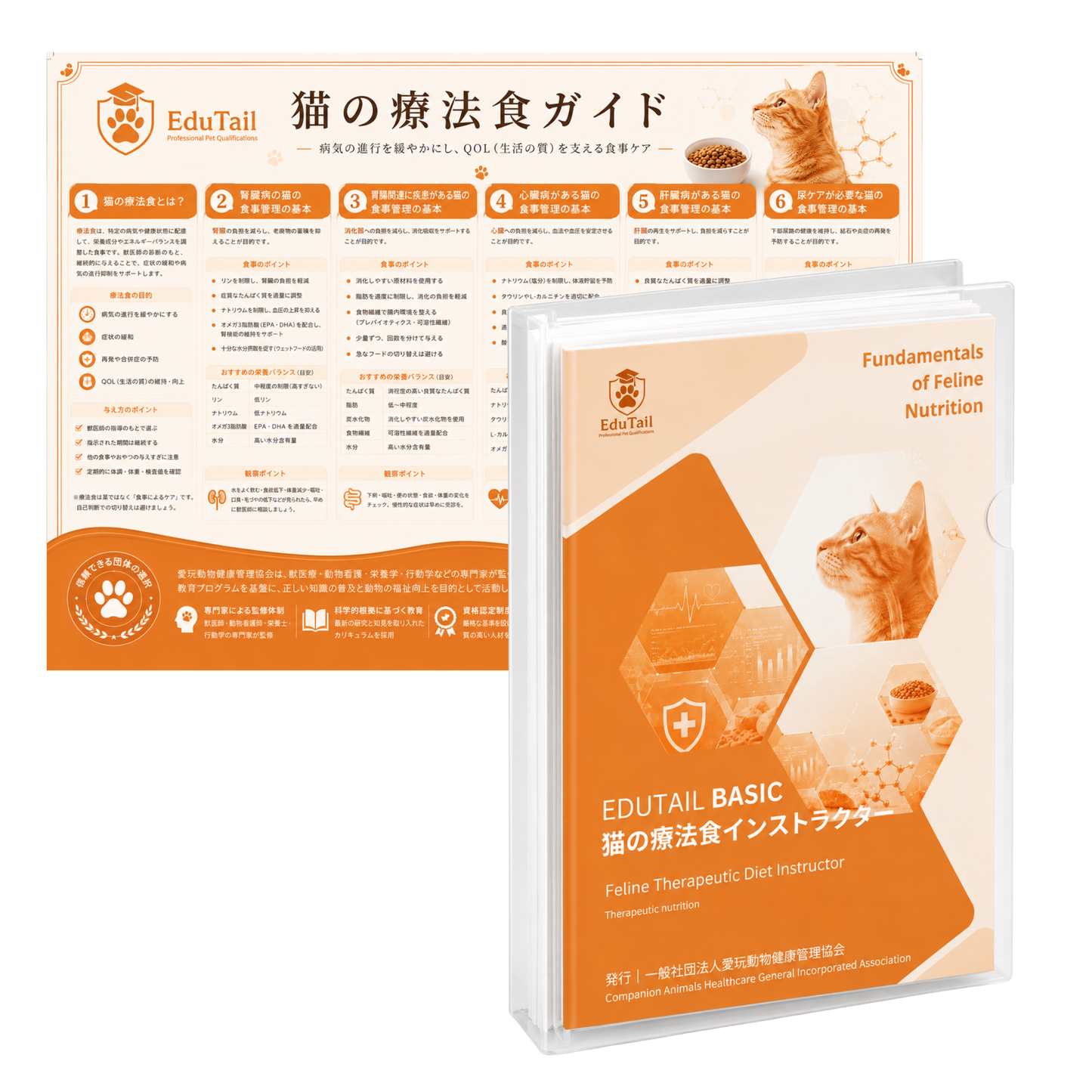 猫の療法食インストラクター BASIC講座|EduTail