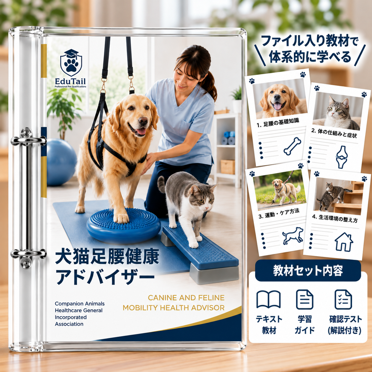 犬猫足腰健康アドバイザー|EduTail