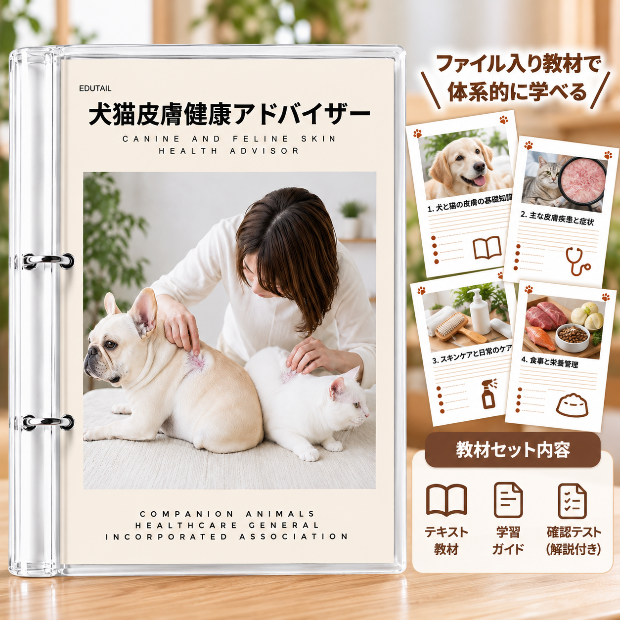 犬猫皮膚健康アドバイザー｜EduTail – EduTail（エデュテイル）