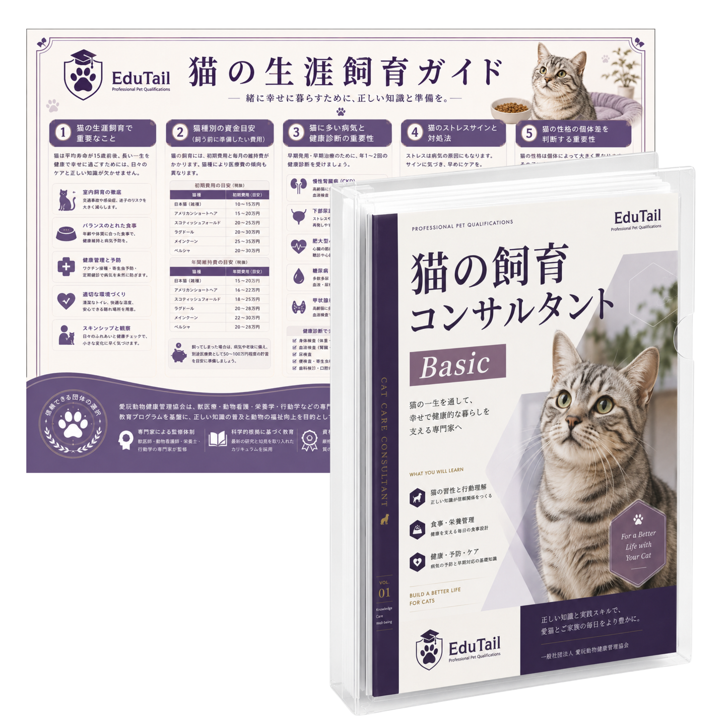 猫の飼育 コンサルタント BASIC講座|EduTail