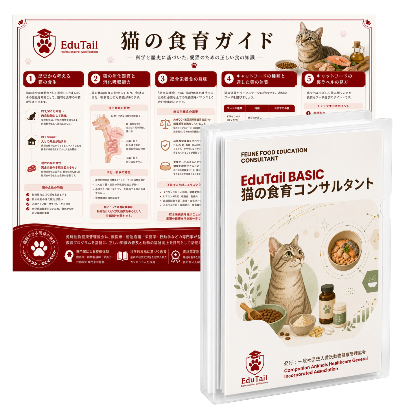 猫の食育コンサルタント BASIC講座|EduTail