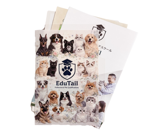 無料資料請求<プレゼント付>