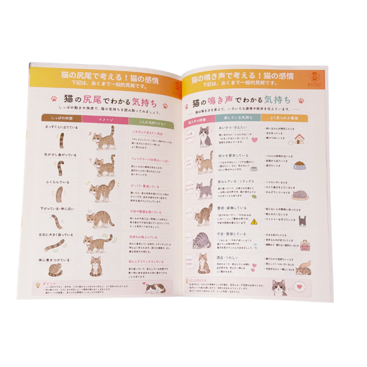 保護猫の行動心理と環境整備|送料込