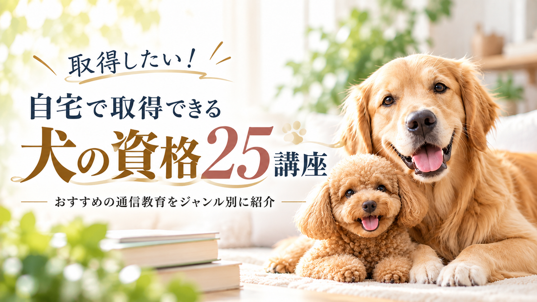 取得したい！自宅で取得できる犬の資格25講座｜おすすめの通信教育をジャンル別に紹介