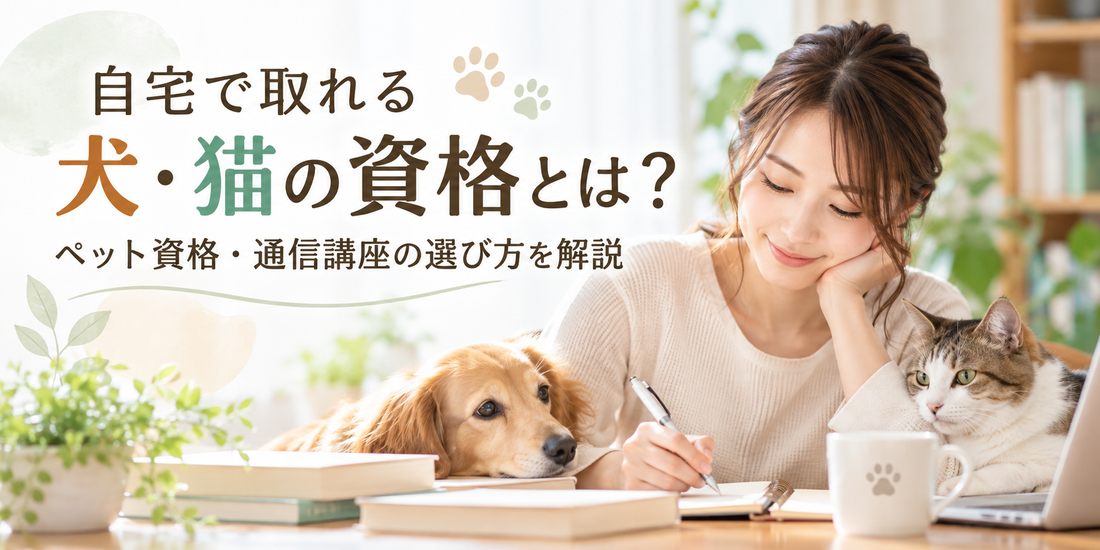 自宅で取れる犬・猫の資格とは？ペット資格・通信講座の選び方を解説