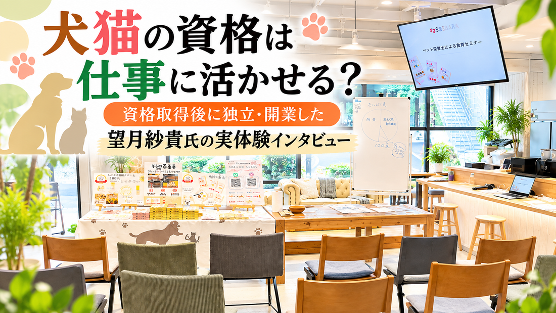 犬猫の資格は仕事に活かせる？資格取得後に独立・開業した望月紗貴氏の実体験インタビュー