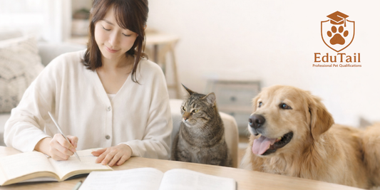 犬猫を資格を受講して仕事に活かそう！おすすめペット資格13選