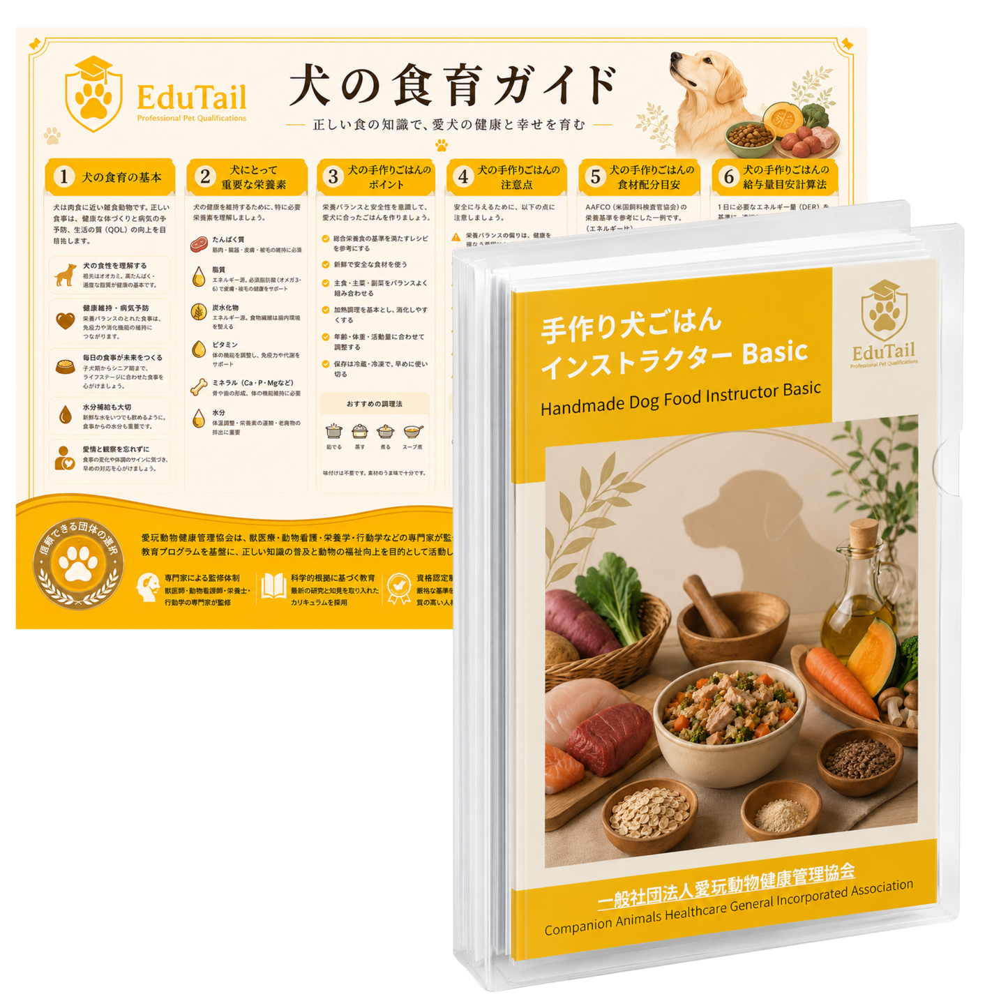 犬の手作りごはんインストラクター BASIC講座｜EduTail