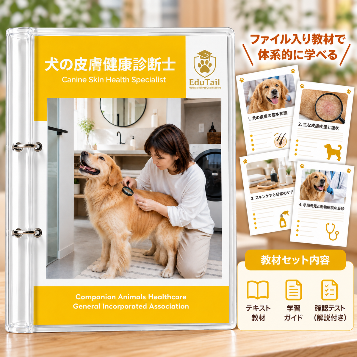 犬の皮膚健康診断士｜EduTail