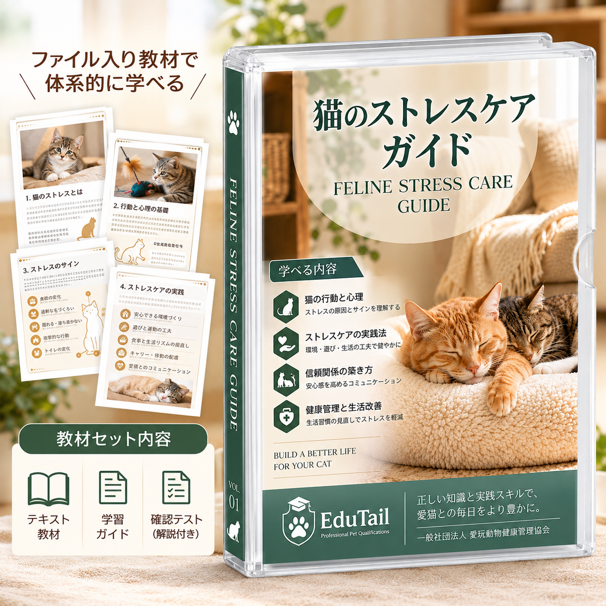 猫のストレスケアアドバイザー｜EduTail