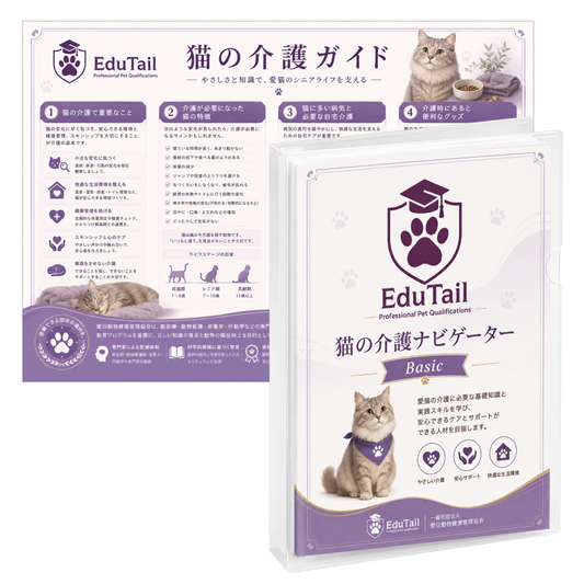 猫の介護ナビゲーター BASIC講座｜EduTail