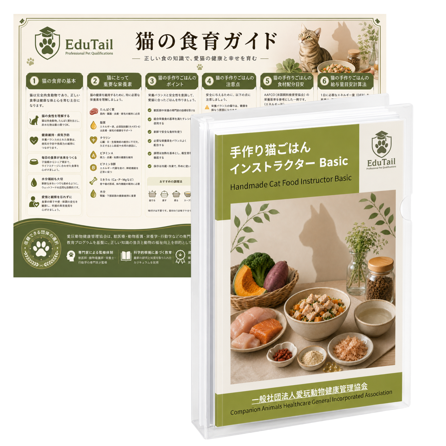手作り猫ごはんインストラクター BASIC講座｜EduTail
