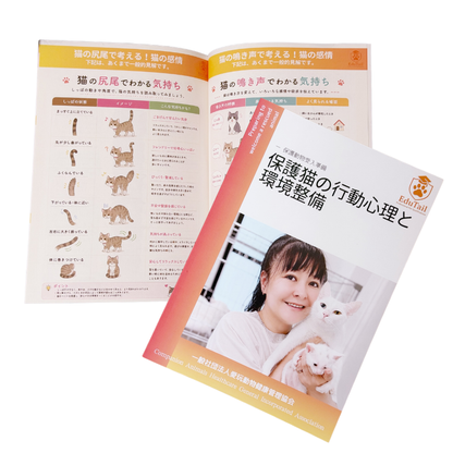 保護猫の行動心理と環境整備｜送料込
