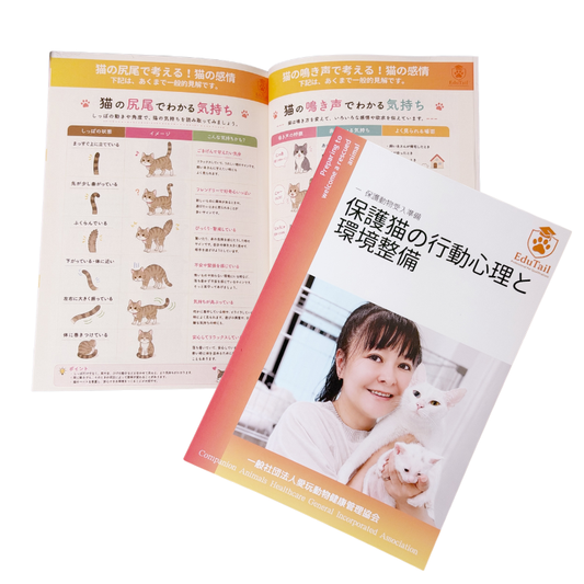 保護猫の行動心理と環境整備｜送料込