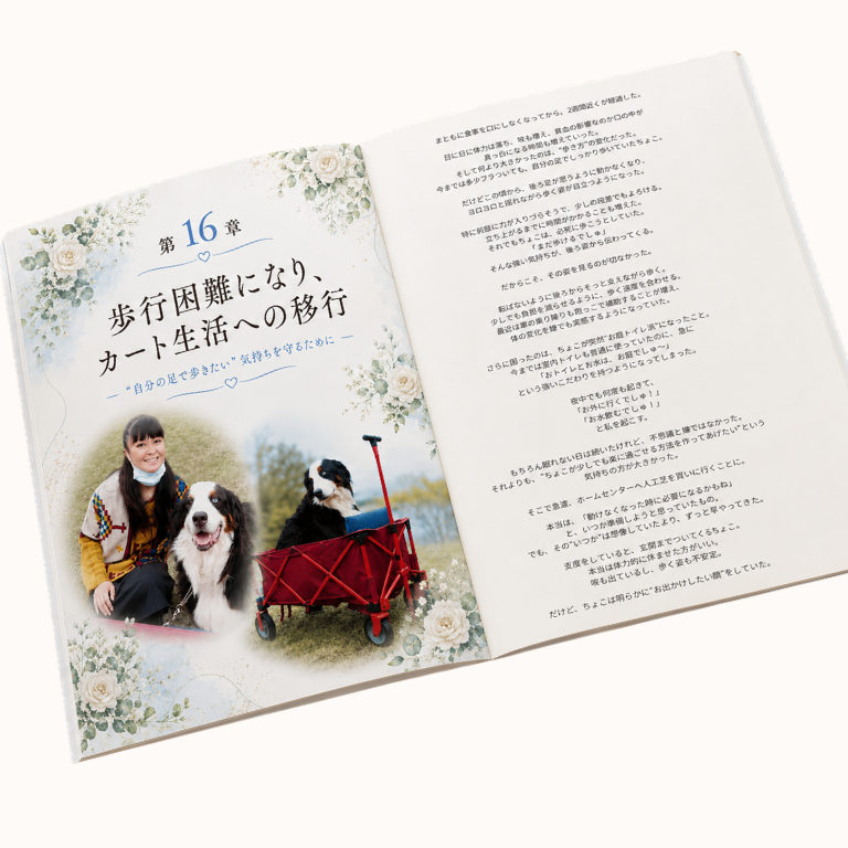 介護の日々に、正解はひとつじゃない ― 素人だった私の、リアルな愛犬介護 ―　｜送料込