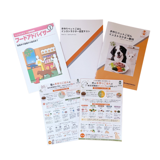 手作りペットごはんインストラクター