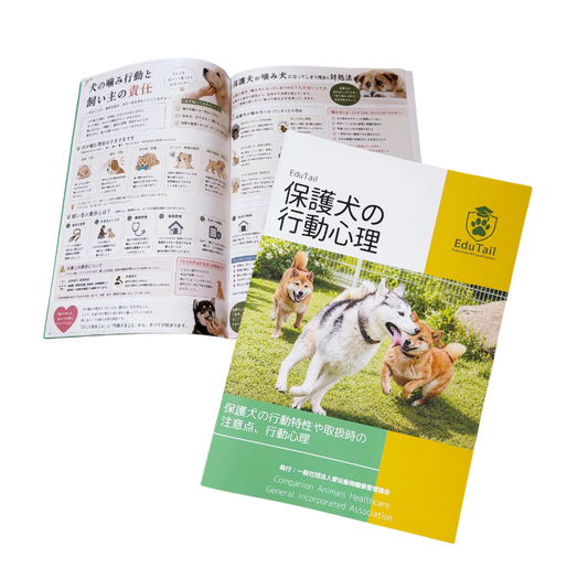 保護犬の行動管理冊子｜送料込