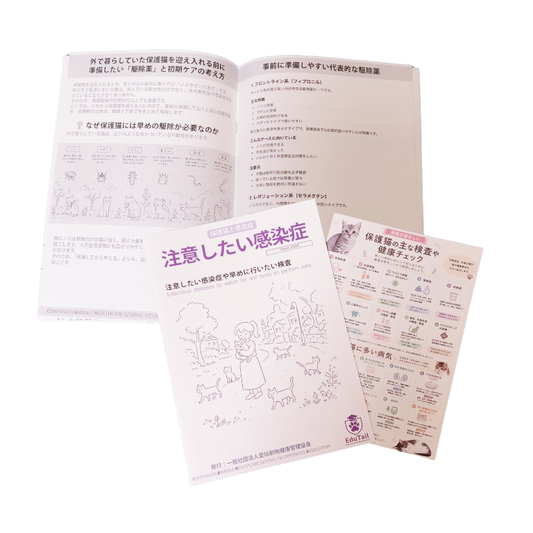 保護猫と感染症｜送料込