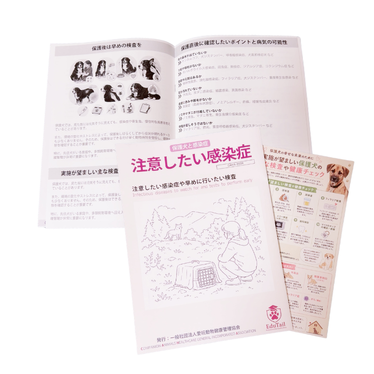 保護犬と感染症｜送料込
